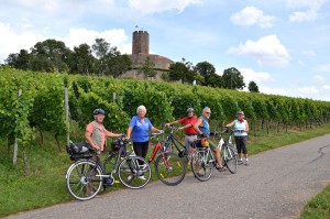 Radfahrer vor Feld - 4