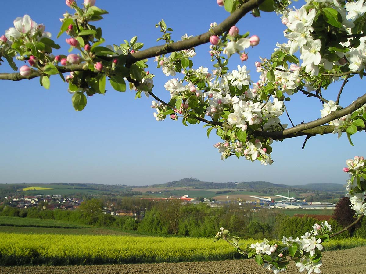 Obstbauschnitt Förderung durch das Land Baden-Württemberg