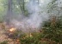 Waldbrandgefahr durch lang anhaltend trockenes Wetter