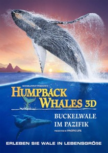 Buckelwale Filmplakat