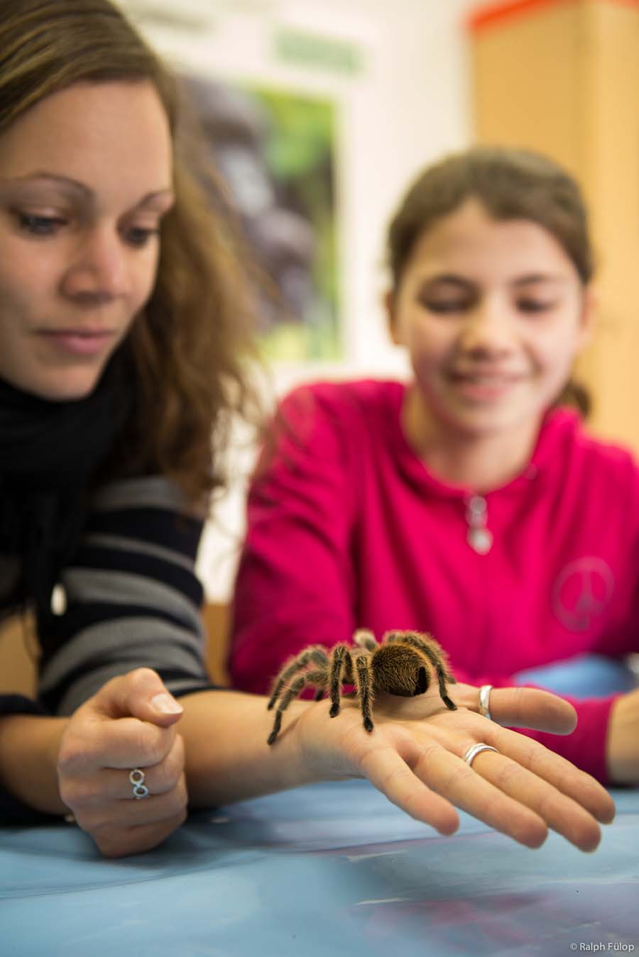 Lebendiger Unterricht zum Anfassen – die Zooschule macht’s möglich