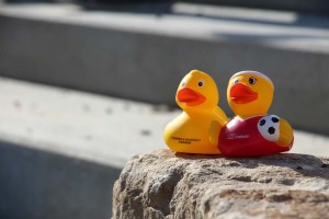 2015-06-02_Probeentenrennen_012