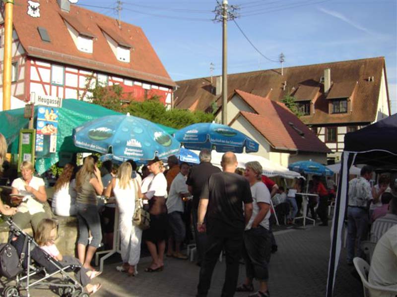 Dorffest Hoffenheim 2015