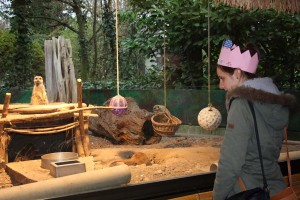 JunggesellInnenabschied im Zoo 2015