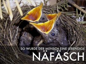 Näfäsch