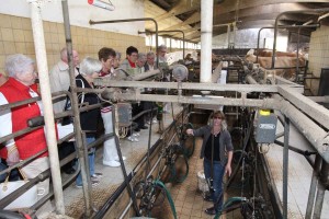 Sonntagsbus-Sommerfest-Milchstand