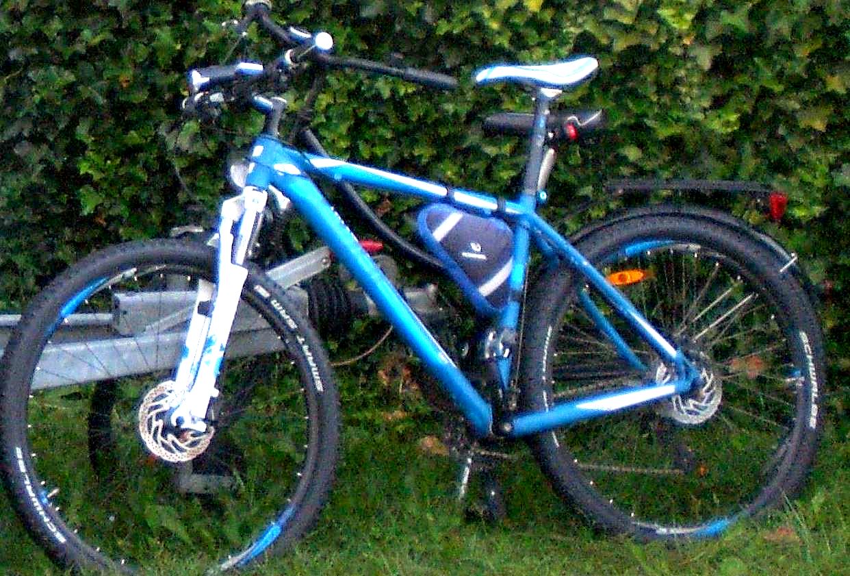sinsheim_fahrraddiebstahl_11082015