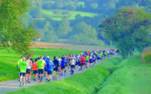 2. Bundesliga SV Sandhausen - TSV 1860 München Hardtwaldstadion Sandhausen 23.09.2014