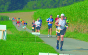 2. Bundesliga SV Sandhausen - TSV 1860 München Hardtwaldstadion Sandhausen 23.09.2014