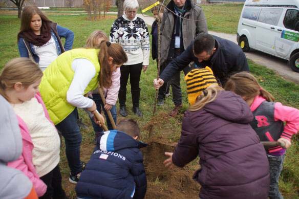 Sinsheimer Schüler pflanzten Bäume mit dem OB