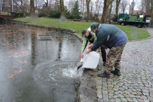 csm_2015-11-_b71770d2a3