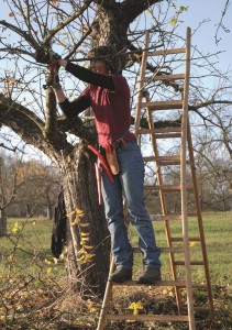 Fachwarte_Ausbildung
