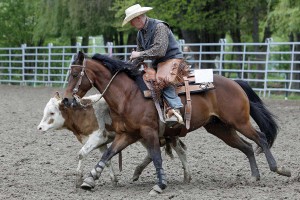 Sinsheim_C.Steen_T6Q0483 Kopie