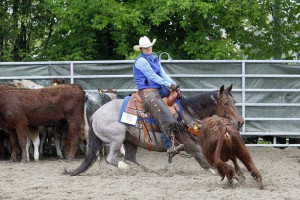 Sinsheim_C.Steen_T6Q9845 Kopie