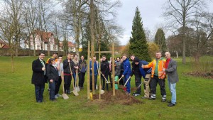 csm_Nachpflanzung_04a1b6d60d