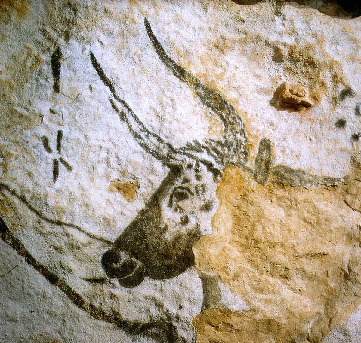 Lascaux_Bild