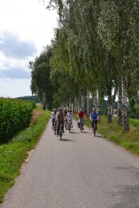 Radfahrer vor Birkenallee