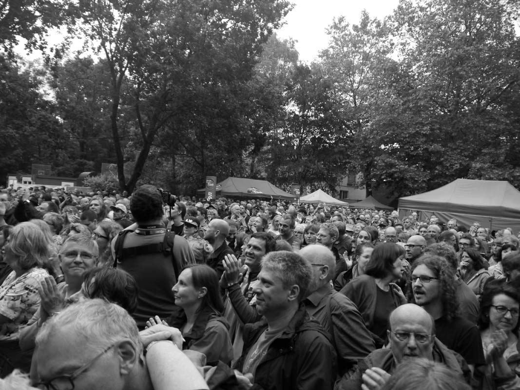 Blacksheep Festival – Neue Schafrasse entdeckt