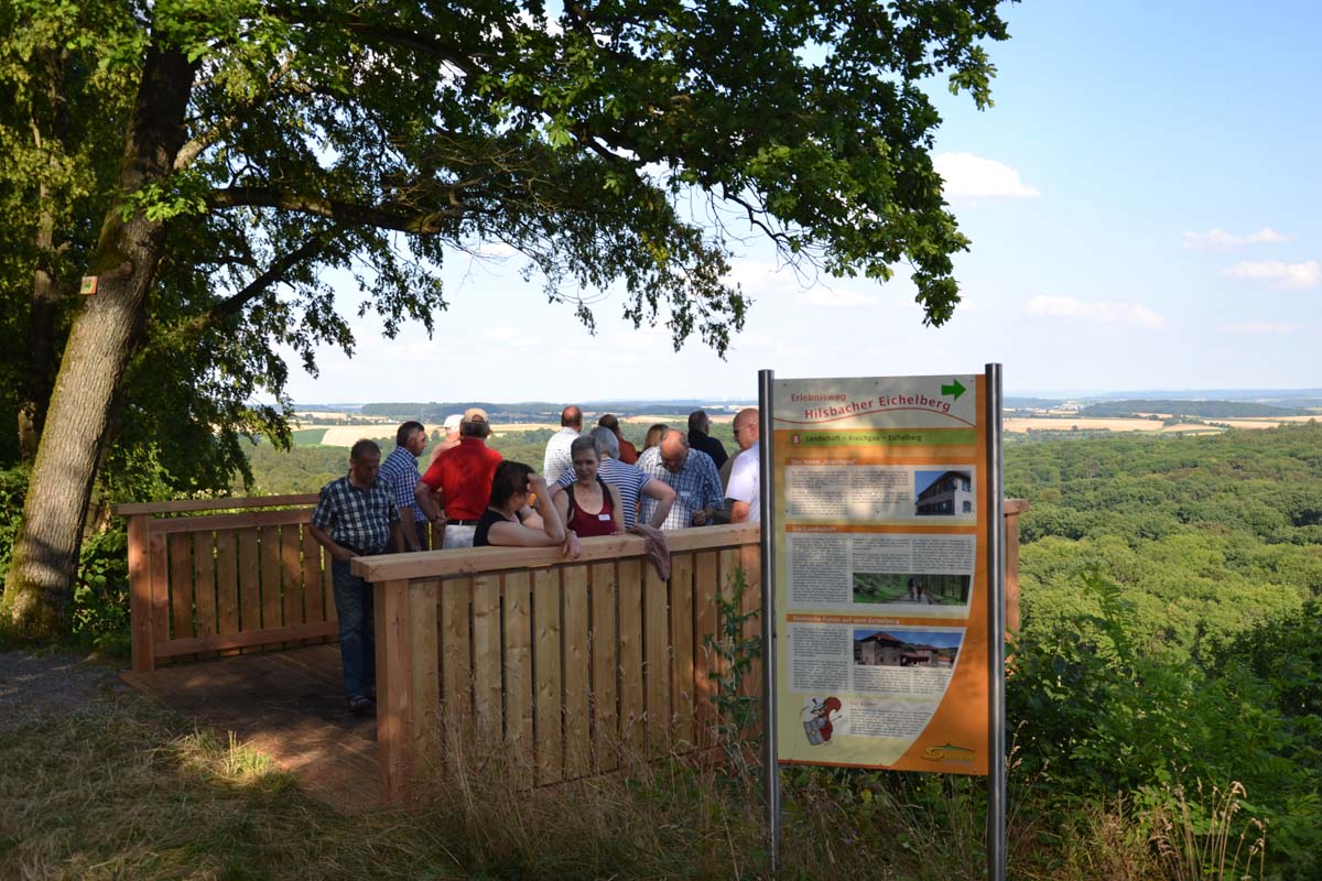 Weinberge, Wildbienen und ein wunderschönes Panorama