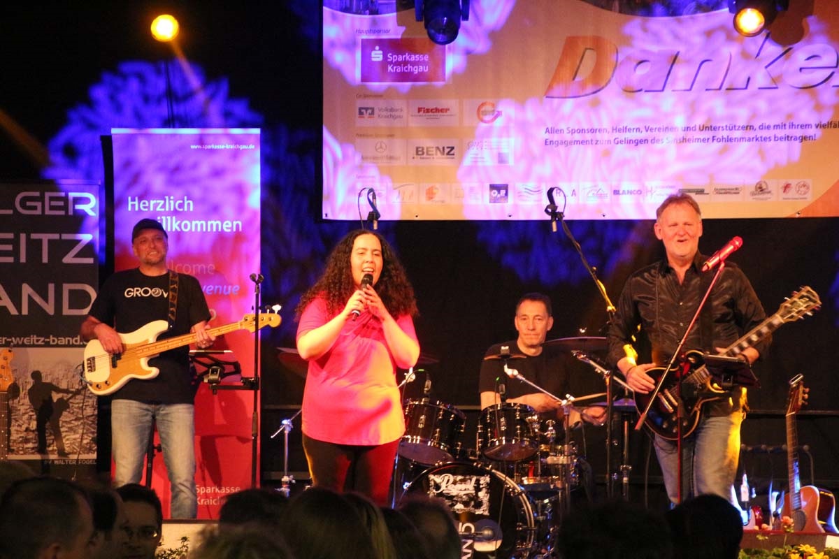 Stadtfest – Holger Weitz Band