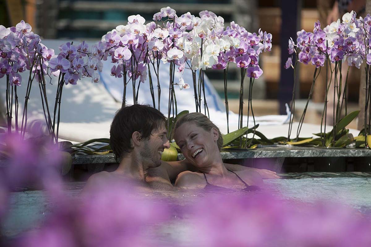 Orchideentausch und Spendenaktion