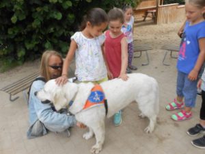 2016_31_Jimmy und Baily