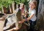 Im Heidelberger Zoo macht Schule selbst in den Ferien Spaß!