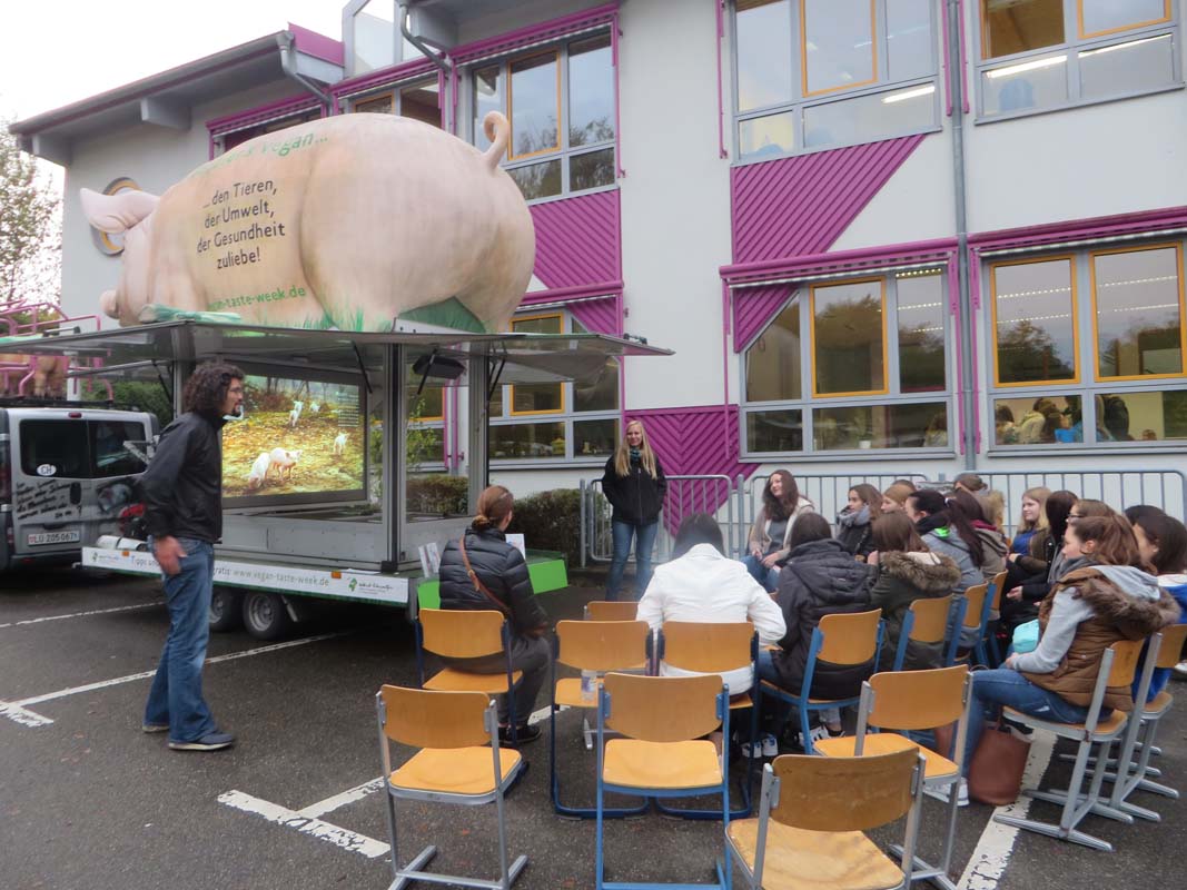 Riesenschwein besuchte Kraichgau-Realschule