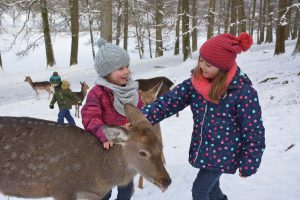 web-wildparadies-tiere-streicheln-winter-we