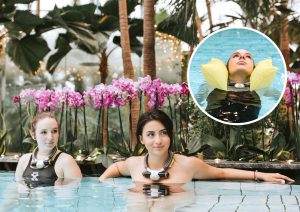 orchideenspende_ploota