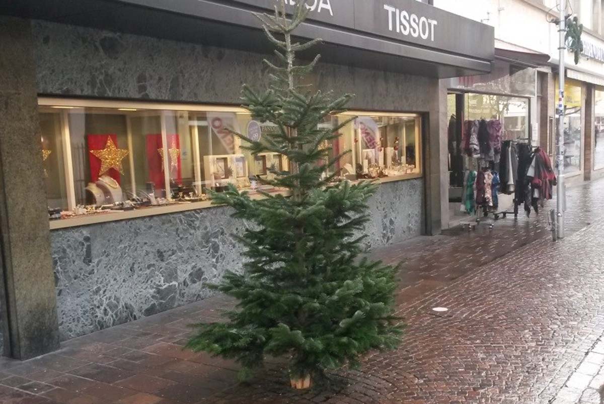 Wohin mit dem Weihnachtsbaum?
