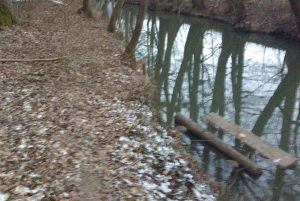 img-20170124-wa00051