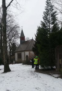 pressemitteilung-baumpflegearbeiten