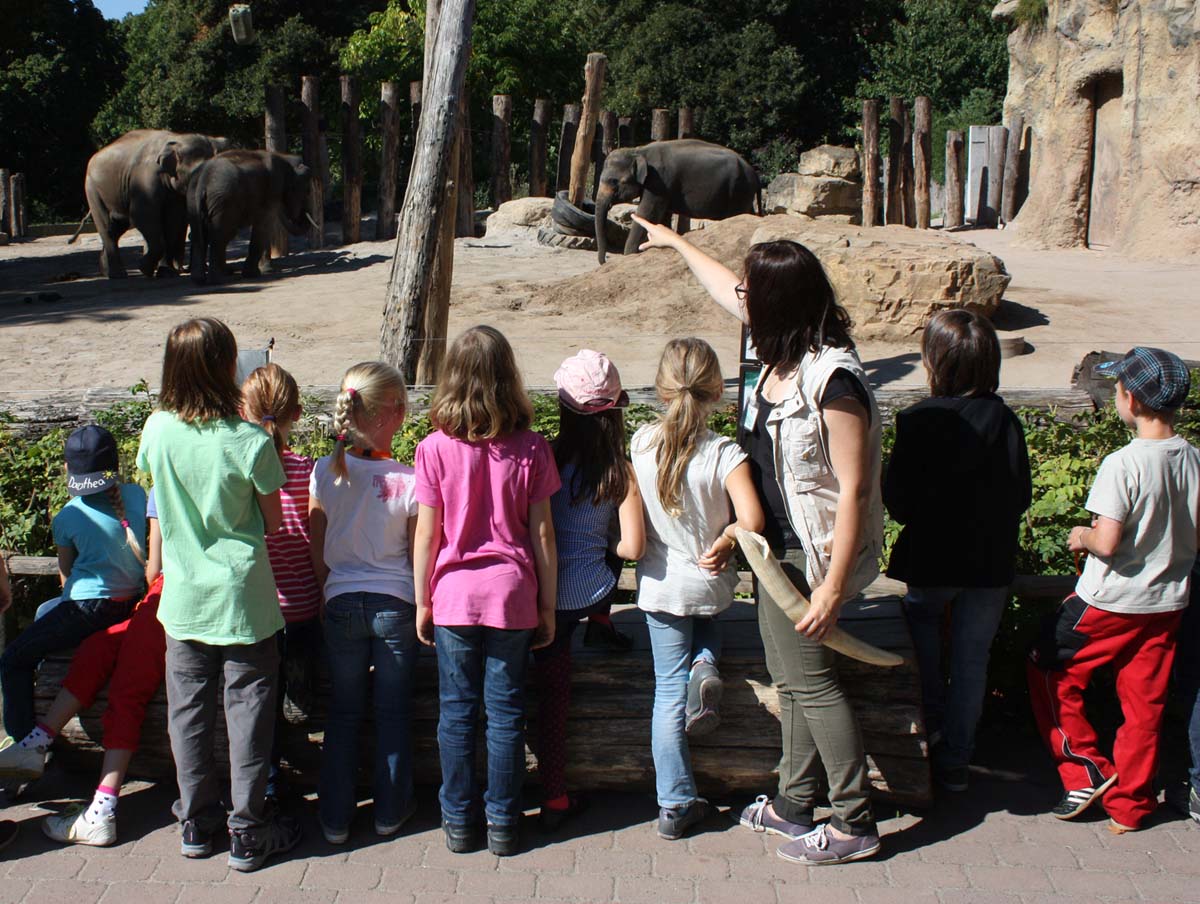 Zoo-Unterricht_Elefanten