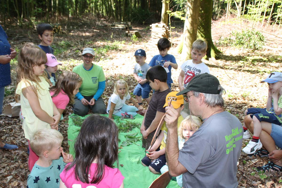 Das WaldNetzWerk im Kindergarten Untergimpern