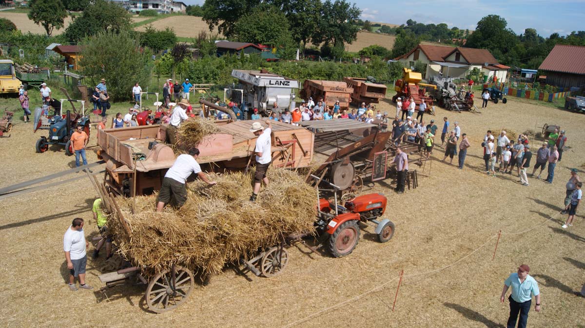 23. historischer Erntetag der Dreschgemeinschaft Dühren