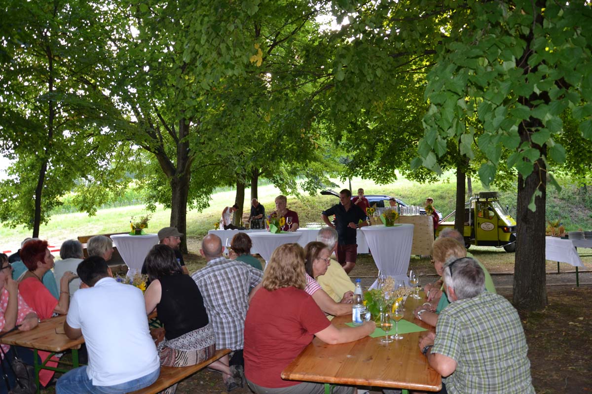 Sinsheimer Erlebnisregion – Weinwanderung am Steinsberg