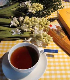 Literatur-Café: „Frühlingshaft …“