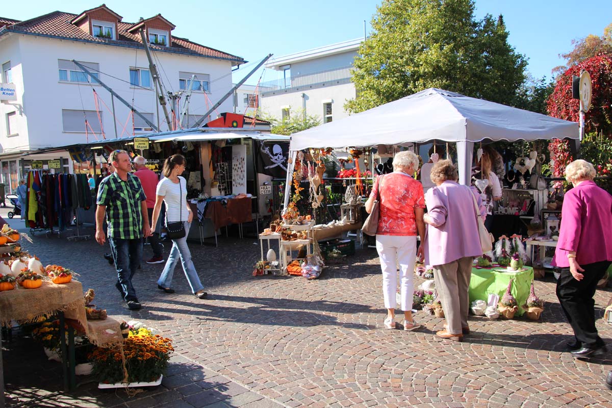 Sinsheimer Herbst 18 (21)