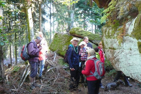 Reisenbacher Grund – ein Rückblick