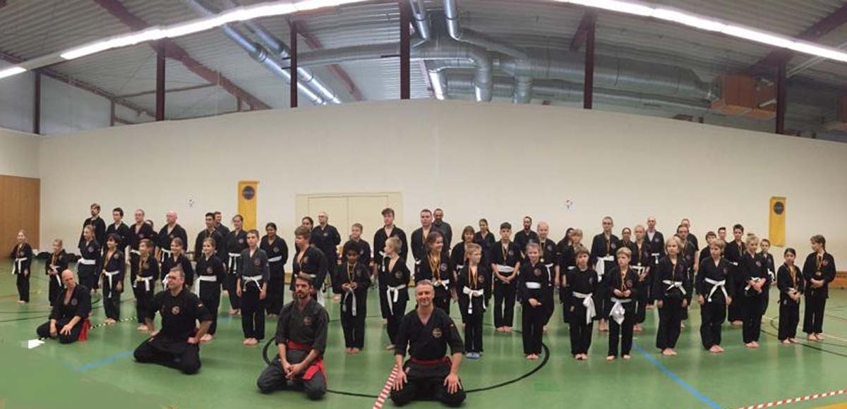 Viet Vo Dao Formenmeisterschaften 2018