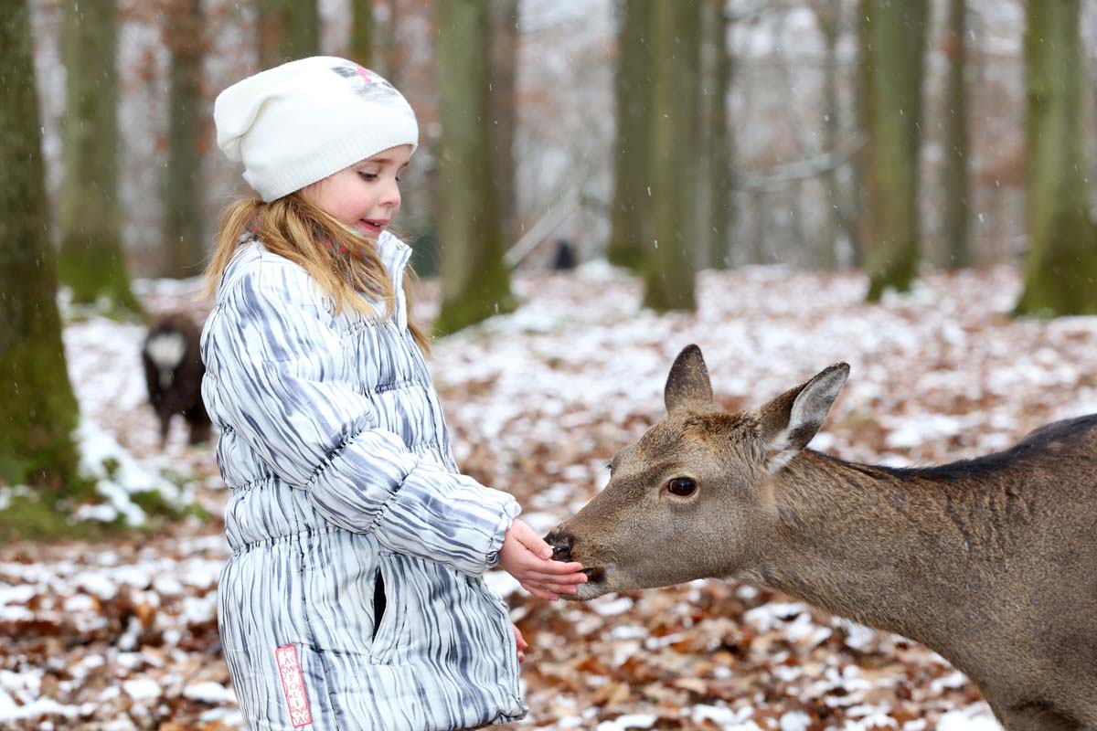 Fuettern_Wildparadies_Winter_RS__8_