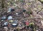 Müllsammelaktion Naturschutzgebiet „Steinbruch Kirchardter Berg“