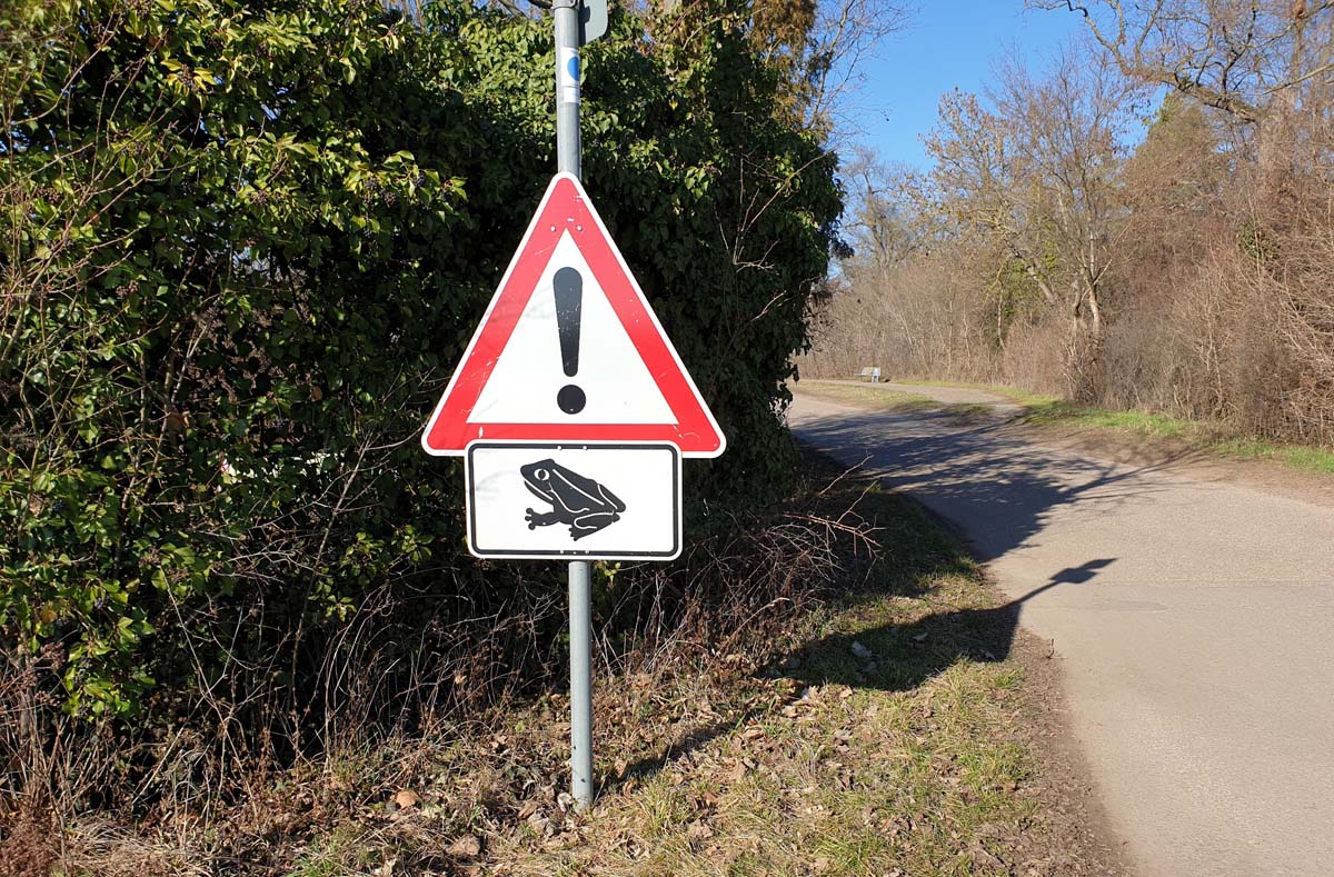 Achtung wandernde Amphibien