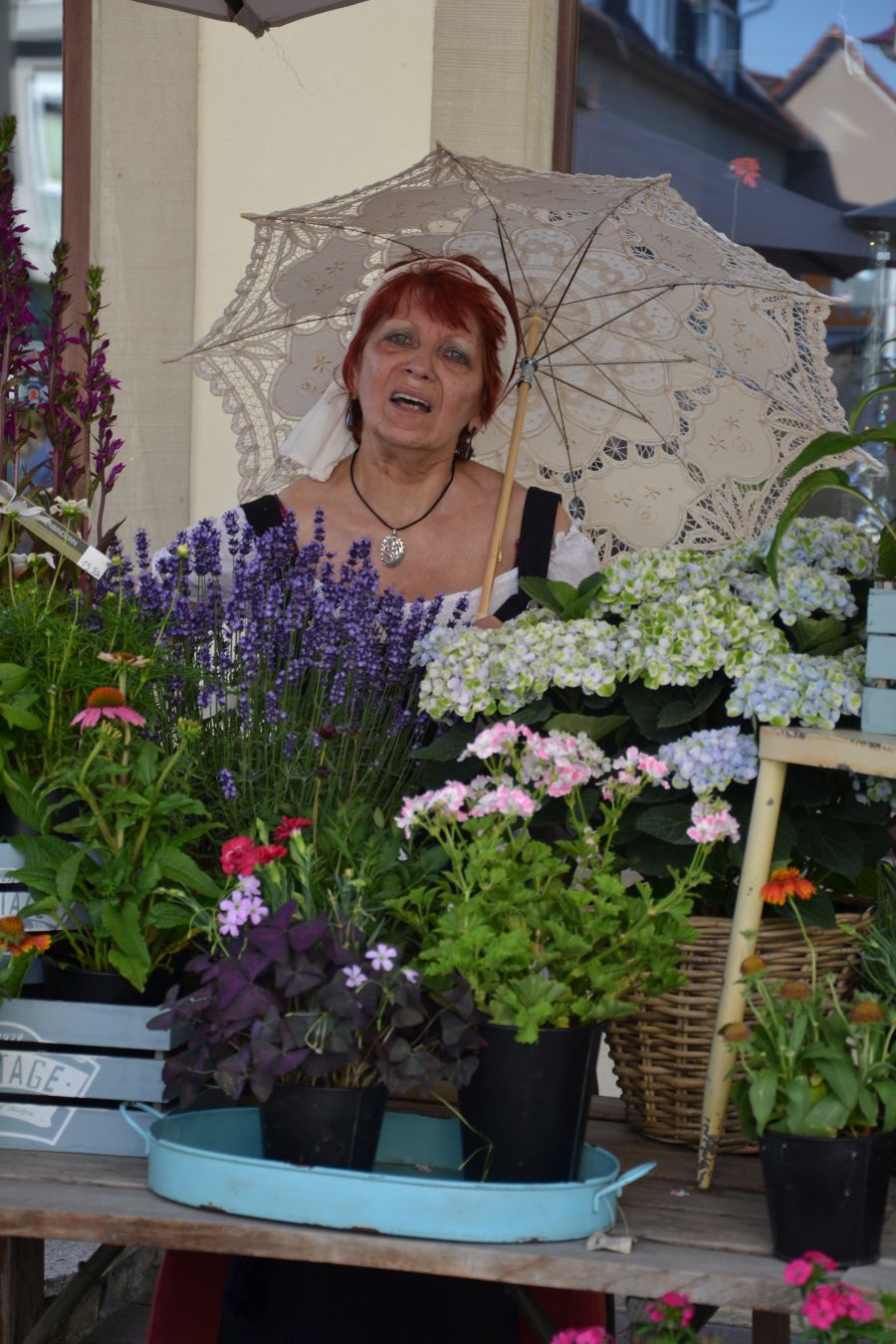 Bilder Stadtführer (145)