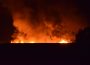 Kirchardt: Großbrand auf Putenhof