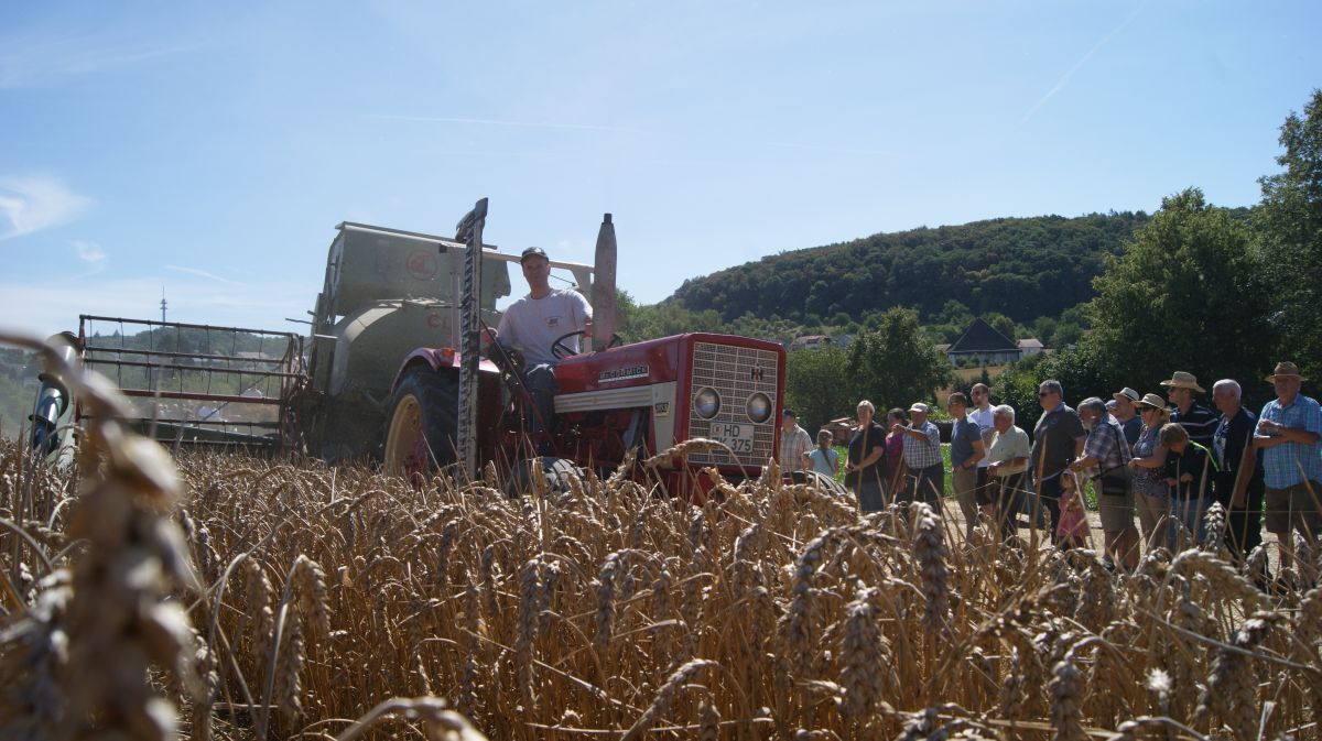 25. historischer Jubiläumserntetag der Dreschgemeinschaft Dühren