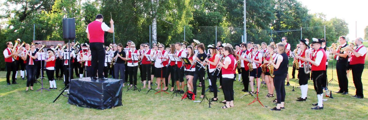 Landesfestumzug – Musikvereine