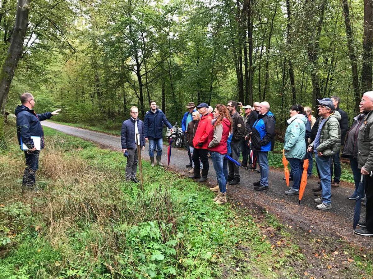 Klimaschutz mit Naturschutz und Wirtschaftlichkeit vereinbaren