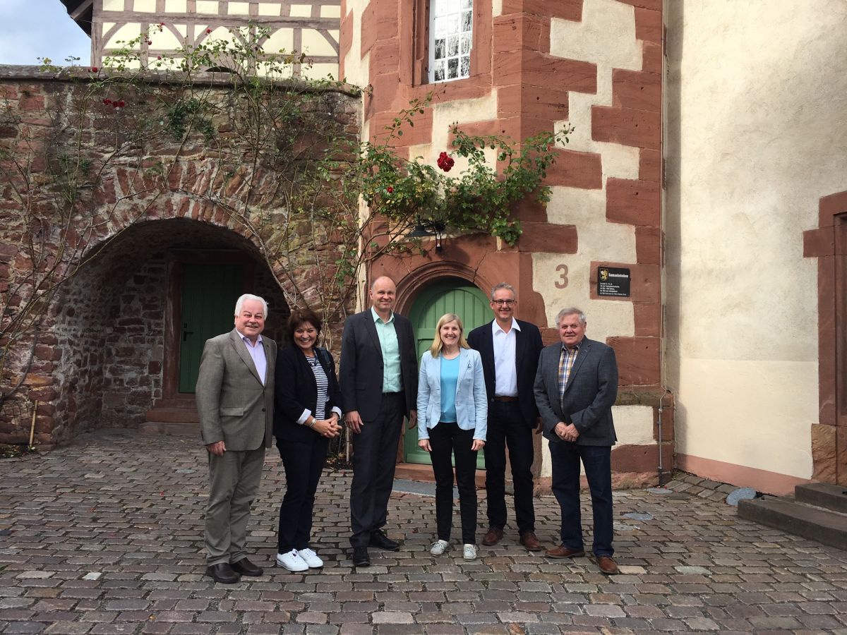 FDP-Kreistagsfraktion Rhein-Neckar: Kultur im Landkreis